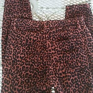LOFT Skinny High waist Corduroy Jeans  Size 2/26 Animal Print